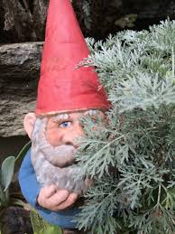 Gnomes On The Loose