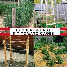 10 ideas for homemade tomato cages