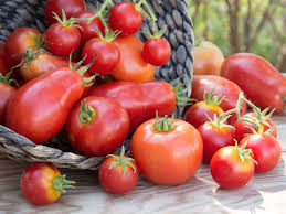 Résultat de recherche d'images pour "images tomate"