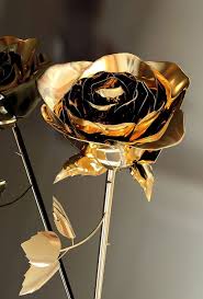 aesthetic rose gold golden rose