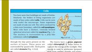 cell definition in biology cl 7