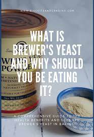 what is brewer s yeast and why should