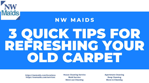 refreshing your old carpet