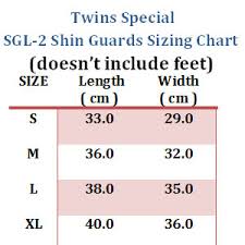 Twins Special Shin Protection Synthetic Sgs 1