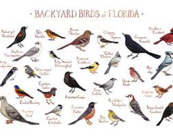 Backyard Ideas On A Budget Backyard Bird Chart Wisconsin