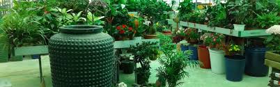 flower zone garden centres in sannat