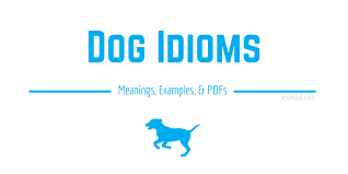 dog idioms list with meanings exles