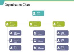 Organization Chart Ppt Powerpoint Presentation File