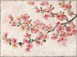 Cherry Blossoms Wall Art Prints
