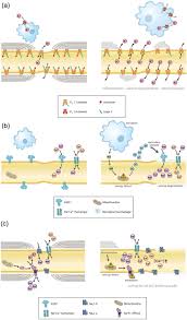 targeting ion channels for the