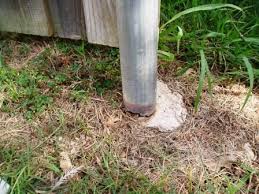We did not find results for: Metal Fence Post Replacement Do It Yourself Knowledge