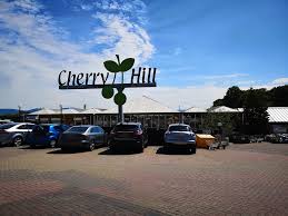 cherry hill garden centre visit tees