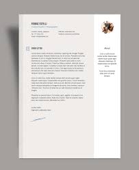 Free Professional Resume Cv Template With Cover Letter Portfolio