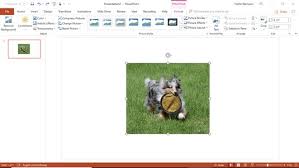 what s new in powerpoint 2019 dummies