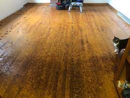 remove carpet pad from hardwood floors