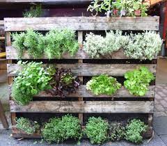 A great idea is to make a container garden. 10 Creative Vegetable Garden Ideas
