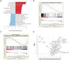However, phpstan allows and enforce. A Pan Cancer Transcriptome Analysis Identifies Replication Fork And Innate Immunity Genes As Modifiers Of Response To The Chk1 Inhibitor Prexasertib Oncotarget
