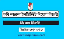 Jatiya Kabi Kazi Nazrul Islam Institute Job Circular 2023 ...