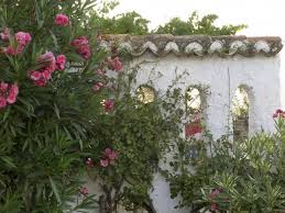 Garden Ideas From Spain