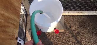 en waterer using 5 gallon bucket