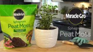 Miracle Gro Sphagnum Peat Moss 8 Qt