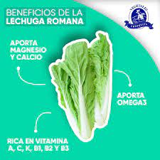 ¿Cuáles son los beneficios de la lechuga romana para la salud en Colombia?
