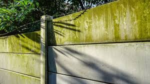 Green Algae Stains From Fence