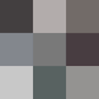 gray image / تصویر