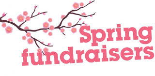 Non Profit Fundraising Ideas For Spring
