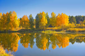 С 1 днем осени! С 1 днем осени! Красота