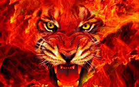 Maybe you would like to learn more about one of these? Animal Tiger Face Fire 4k Ultra Hd Wallpapers For Desktop 1920x1080 Wallpapers13 Com