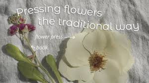 flower press pressing flowers