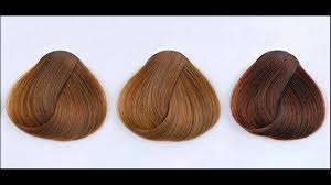 What Are Different Shades Of Mocha Hair Color Youtube