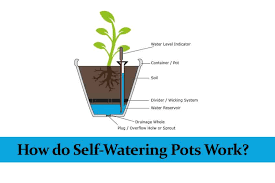 How Do Self Watering Pots Work With