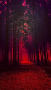 Red Forest Hd Wallpapers Pxfuel