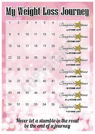 Weight Loss Chart 4 Stone Stickers Pink Slimming