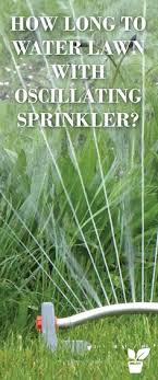 10 Best Oscillating Sprinkler Ideas