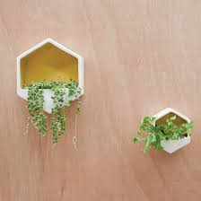 Hexagon Wall Planter Large Yellow