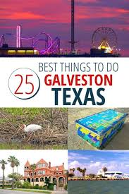 25 fun things to do in galveston texas