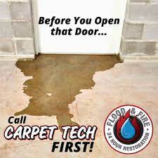 carpet tech carpet cleaning 4510