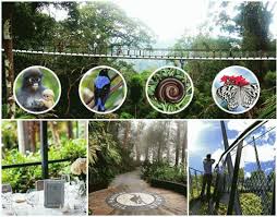 More than 140 people signed up for the virtual tour and got to visit the rainforest at the habitat, complete with the sounds of the insects and. The Habitat Penang Hill Site Info