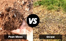peat moss or straw for gr seed in