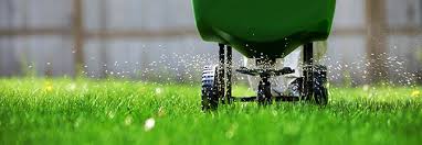 Grass Fertilizer Spreading Fertilizer