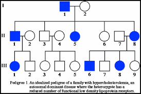 Hyperchloesterolemia Pedigree Chart Pedigree Chart