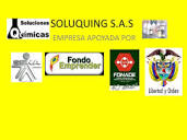 Soluquing s | PPT