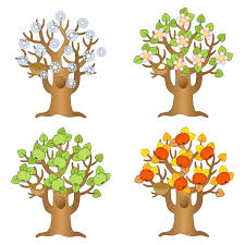 family tree clipart vector images