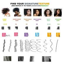 Hair Structure Natural Hair Types Natural Hair Styles
