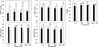 How to use rice hulls as a soil amendment, mulch, bokashi, biochar, or for composting. Influence Of Rice Husk Biochar And Bacillus Pumilus Strain Tuat 1 On Yield Biomass Production And Nutrient Uptake In Two Forage Rice Genotypes
