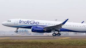 indigo air ticket