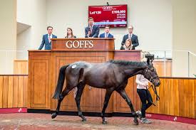 Explore @goffs1866 twitter profile and download videos and photos this is the official goffs twitter account. Next Attending Sale Goffs Uk Js Bloodstock Consultancy